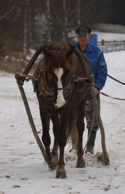 Sorajouhi ja Erkki