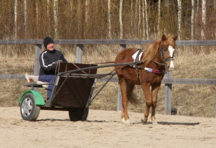 Tulikipuna ja Minna