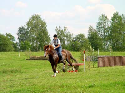 Kiuruveden maastokoe