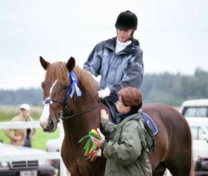 Ylistaro 2002, palkintojen jako